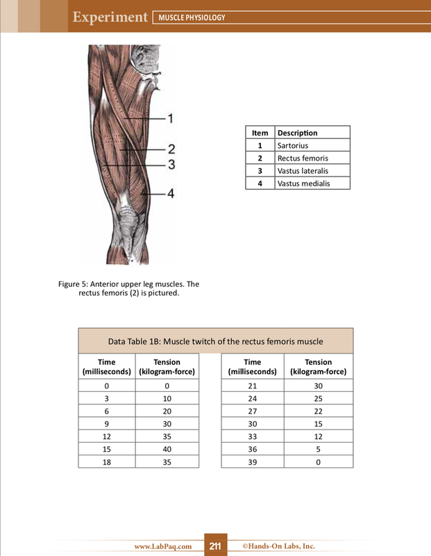Other Assignment Description Image [Solution]